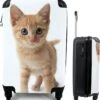 MuchoWow® Koffer - Kat - Rood - Kitten - Meisjes - Kinderen - Jongens - Kindje - Past Binnen 55x40x20 Cm En 55x35x25 Cm - Handbagage - Trolley - Fotokoffer - Cabin Size - Print -Bagage Kortingen Winkel 1145x1200 3