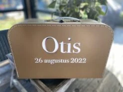 Merkloos Koffertje Karton Bruin Maat L Met Eigen Opdruk - Met Naam -Bagage Kortingen Winkel 1200x899 4